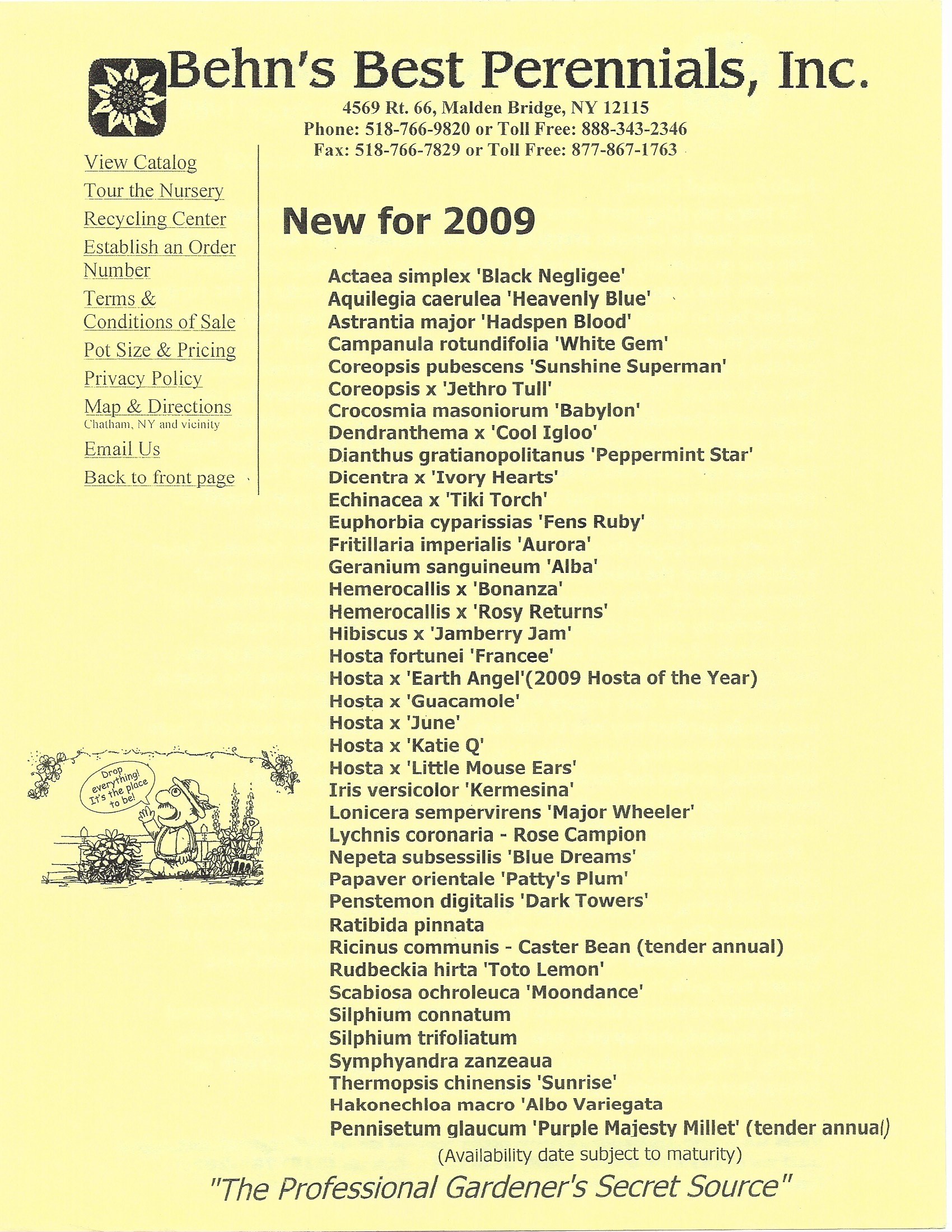 Spring 2009 Newsletter