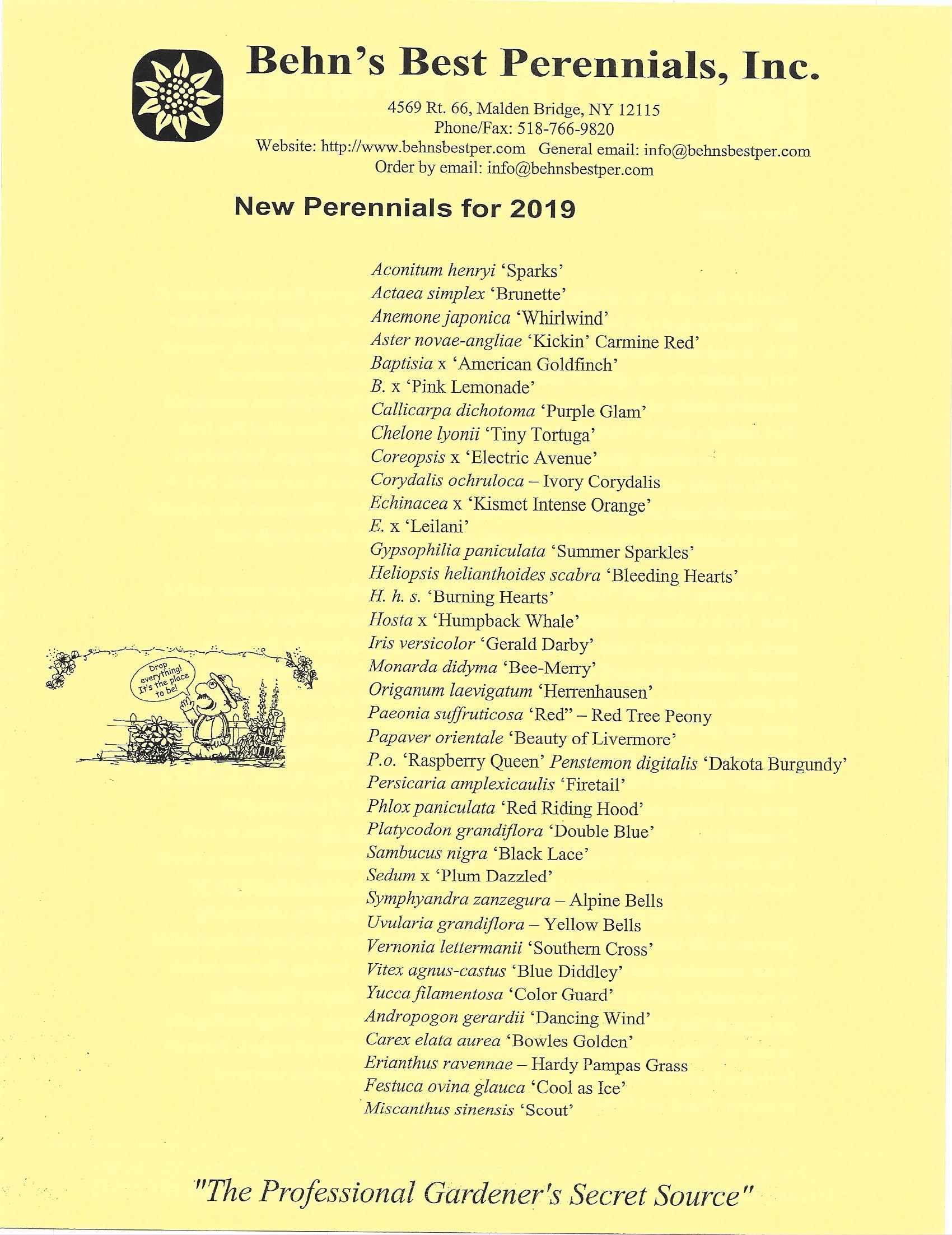 Spring 2019 Newsletter