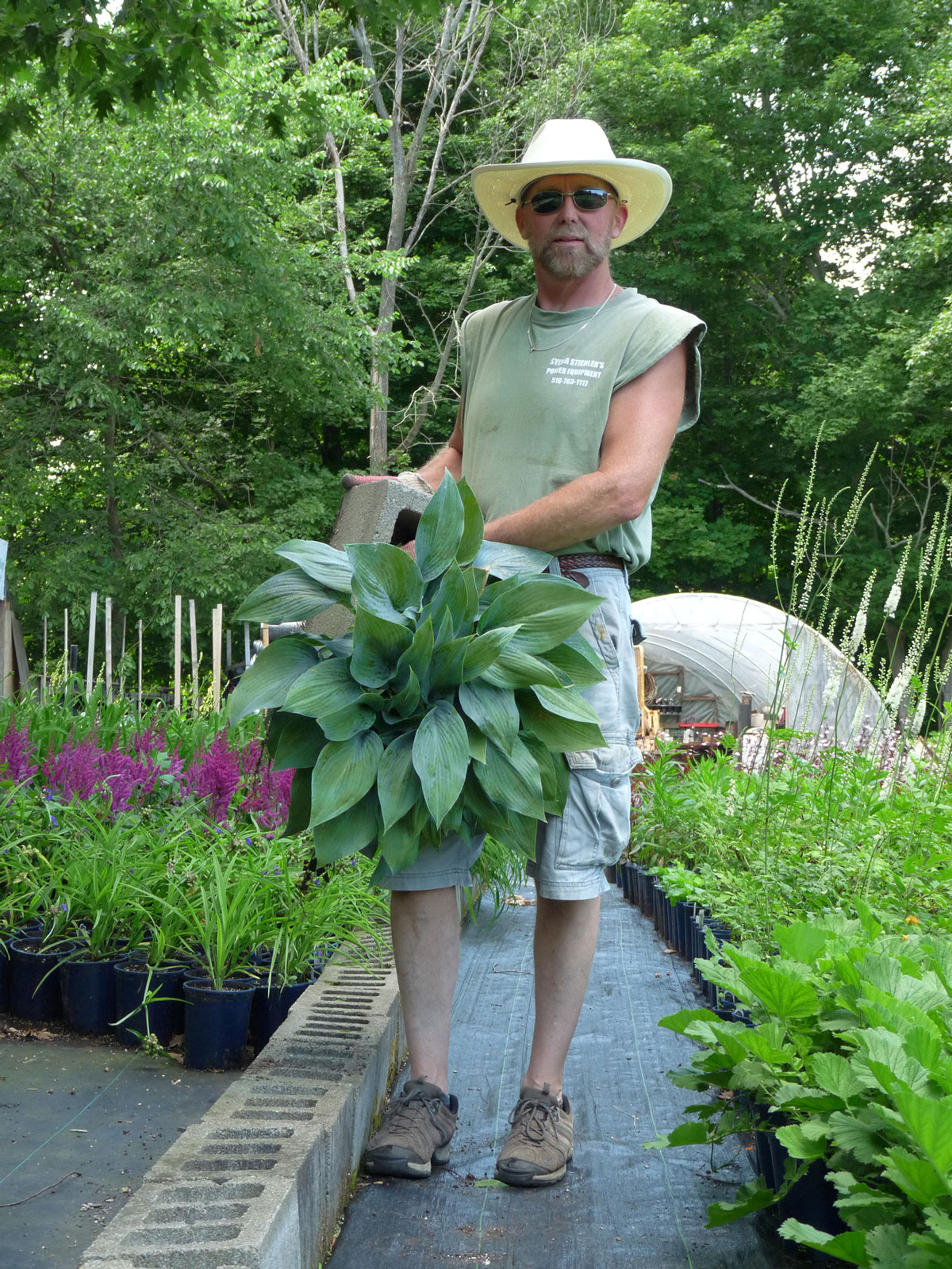 Behn’s Best Perennials News The Many Faces of Behn’s